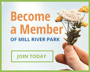 Come Visit - Mill River Park Collaborative